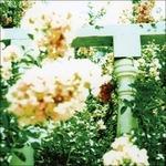 Little Wars - Vinile LP di Unwed Sailor