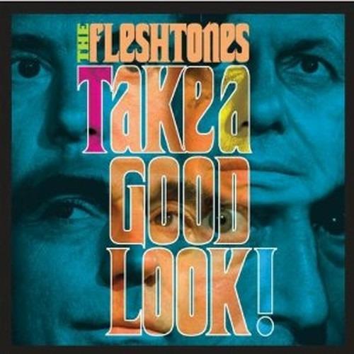 Take a Good Look - CD Audio di Fleshtones