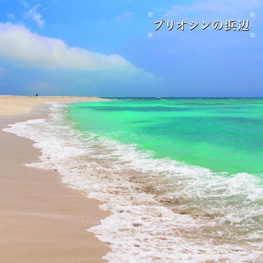 Beach Of The Pliocene - Vinile LP di Ken-ichiro Isoda
