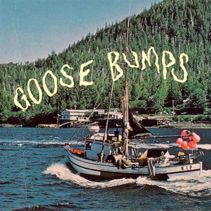 Goose Bumps - Vinile LP di Boyscott