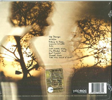 Blindfaller - CD Audio di Mandolin Orange - 2