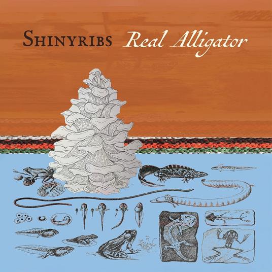 Real Alligator - Vinile LP di Shinyribs