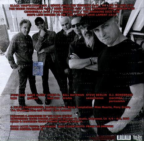 I Used to Be Pretty - Vinile LP di Flesh Eaters - 2