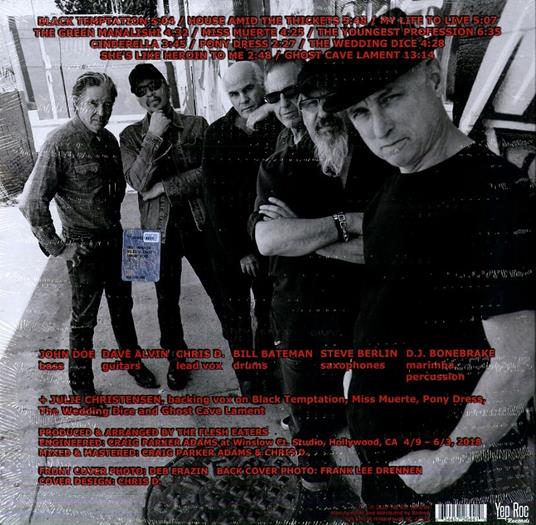 I Used to Be Pretty - Vinile LP di Flesh Eaters - 2