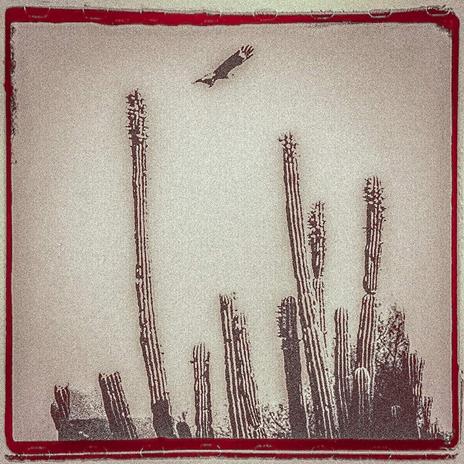 La Cruzada - CD Audio di Alejandro Escovedo