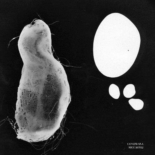 Miccaotli - Vinile LP di Gondwana