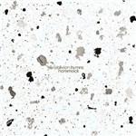 Oblivion Hymns - Vinile LP di Hammock