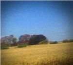 Benji - CD Audio di Sun Kil Moon