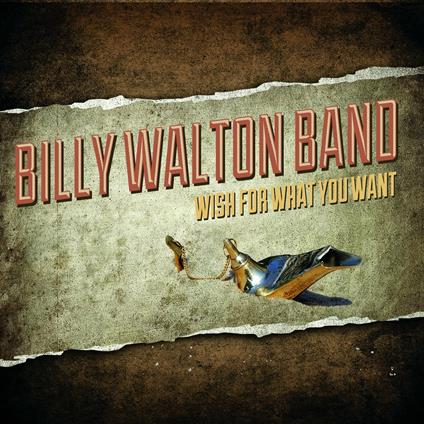 Wish for What You Want - CD Audio di Billy Walton