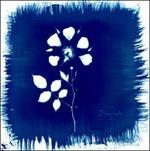 Floriography - CD Audio di Painted Zeros