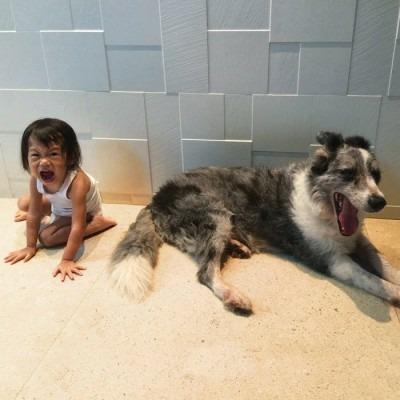 Endless Shimmering - CD Audio di And so I Watch You from Afar