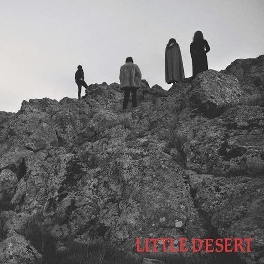 Ashes - Vinile LP di Little Desert