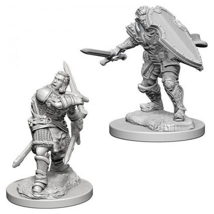 D&D Nolzur Mum Human Male Paladin