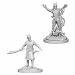 D&D. Nolzur's Marvelous Miniatures. Tiefling Male Warlock