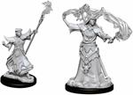 Pathfinder Dcum Human Male Sorcerer