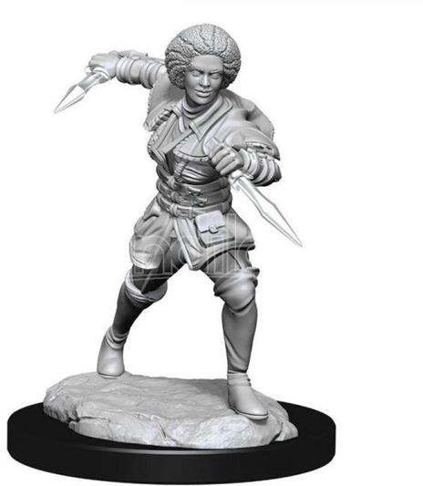 Magic The Gathering Unpainted Miniature Kaya Case (6) Wizbambino