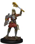 D&d Icons Of The Realms Premium Miniature Pre-painted Human Cleric Female Case (6) Wizkids