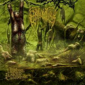 CD Dismal Landscapes Of Voluptuous Pustular Epicardiectomy