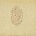 Nino Rojo - CD Audio di Devendra Banhart