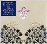 Smokey Rolls Down Thunder - Vinile LP di Devendra Banhart