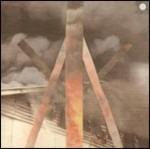 New Brigade - CD Audio di Iceage