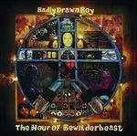 The Hour of Bewilderbeast - Vinile LP di Badly Drawn Boy