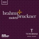 Motets - CD Audio di Johannes Brahms,Anton Bruckner