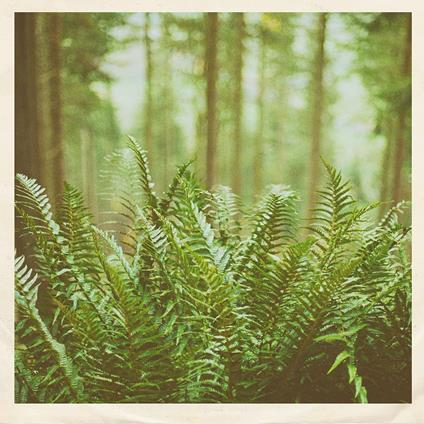 Just Visiting - Vinile LP di Mtbrd