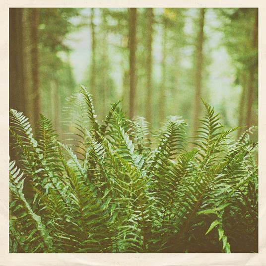 Just Visiting - Vinile LP di Mtbrd