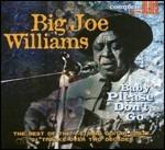 Baby Please Don't Go - CD Audio di Big Joe Williams