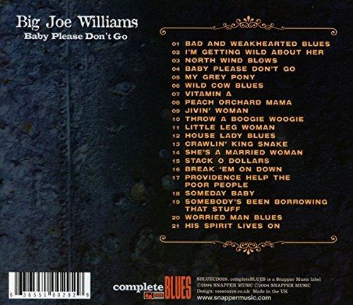 Baby Please Don't Go - CD Audio di Big Joe Williams - 2