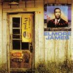 Rolling and Tumblin' - CD Audio di Elmore James