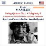 Opere cameristiche - CD Audio di Ursula Mamlok