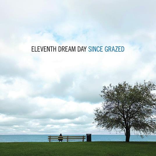 Since Grazed - Vinile LP di Eleventh Dream Day