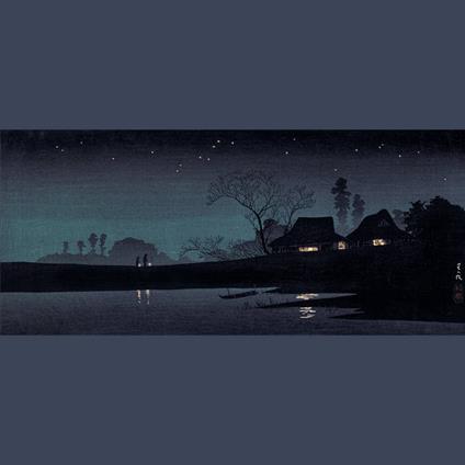 Stumbledown Terrace - Vinile LP di Kinski