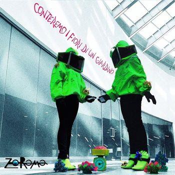 Conteremo I Fiori Di Un Giardino - Vinile LP di Zorama