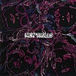 New Trolls - CD Audio di New Trolls