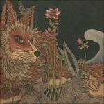 Prey - CD Audio di Planes Mistaken for Stars