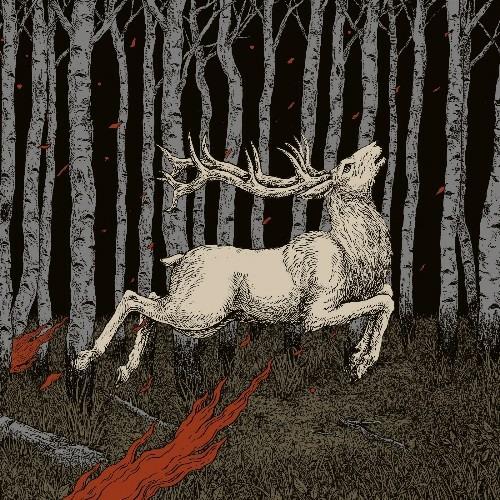 Ladoga - Vinile LP di Olhava