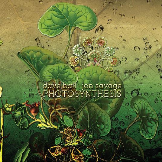 Photosynthesis - CD Audio di David Ball