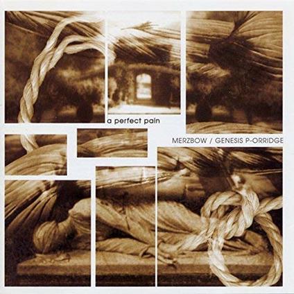 A Perfect Pain - CD Audio di Merzbow,Genesis P-Orridge