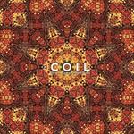 Stolen & Contaminated Songs