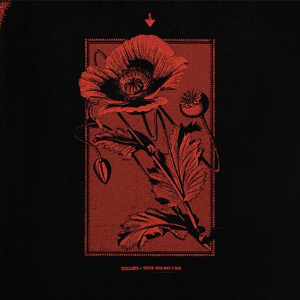 Until The Day I Die - CD Audio di Kollaps