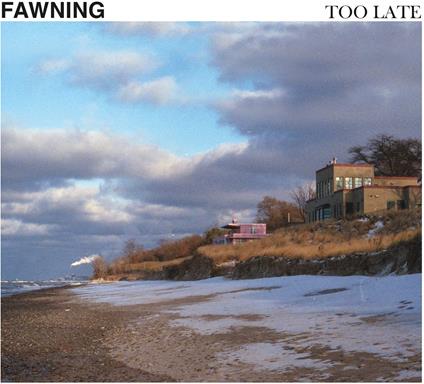 Too Late - Vinile LP di Fawning