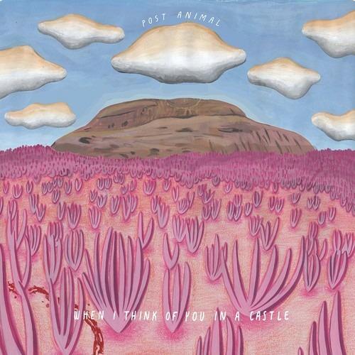 When I Think of You in a Castle - Vinile LP di Post Animal