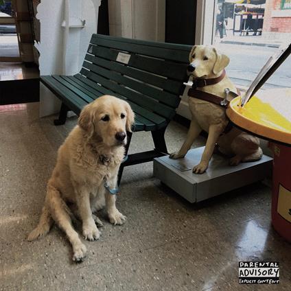 The Option (Red Vinyl) - Vinile LP di Good Morning