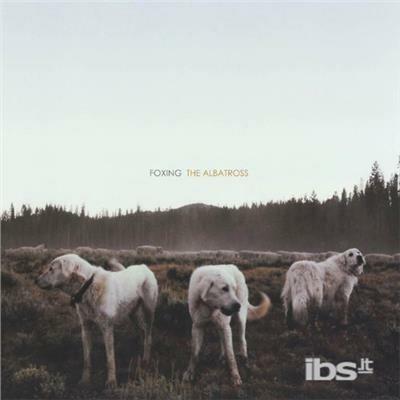 Albatross - Vinile LP di Foxing