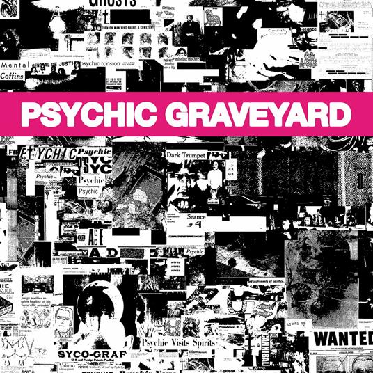 The Next World - CD Audio di Psychic Graveyard