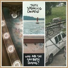 Who Are the Shitbirds Playing? - Vinile LP di Speaking Canaries