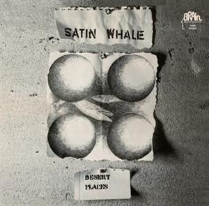 Desert Places - Vinile LP di Satin Whale